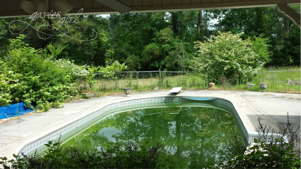Pool - Before