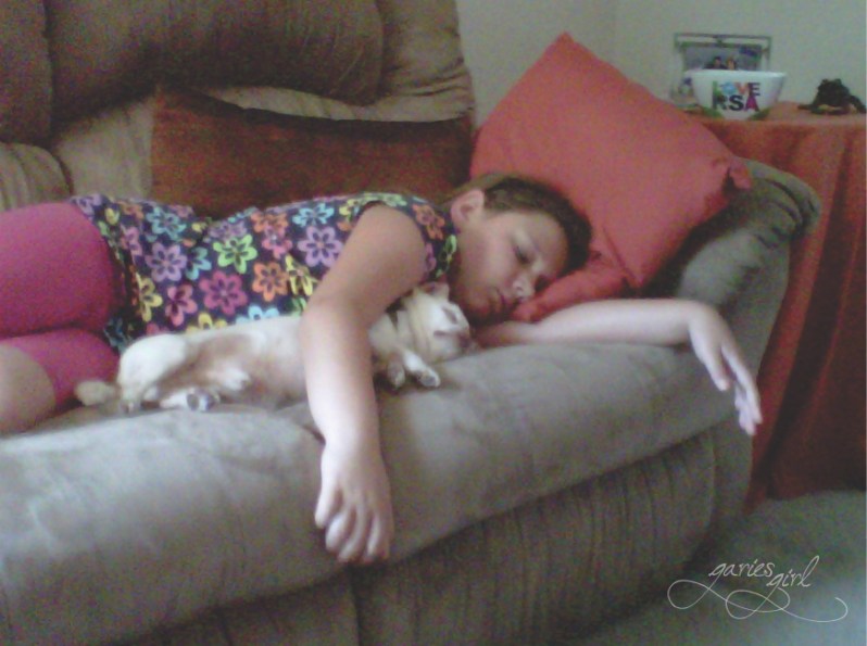 Napping on the Couch