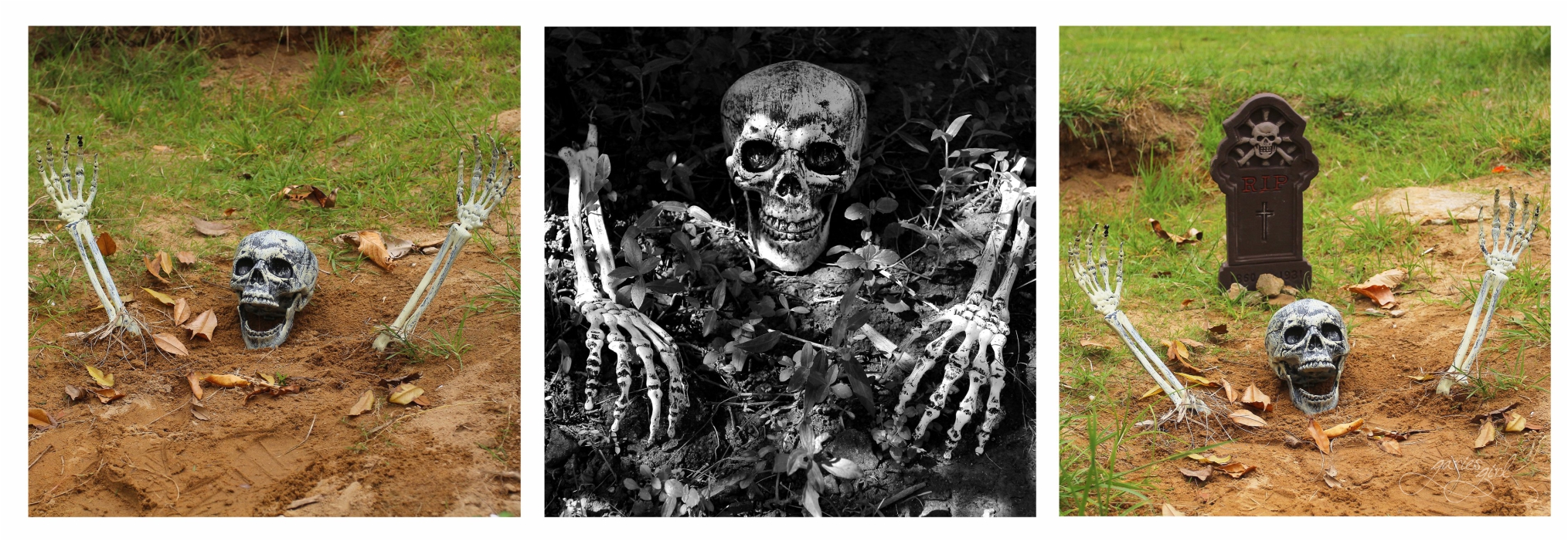 Halloween Decoration