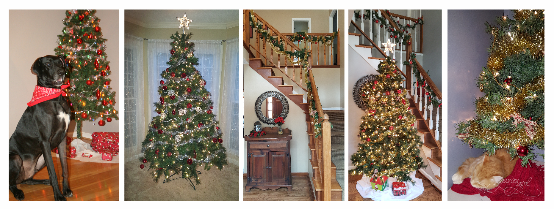 Decorate for the Holidays