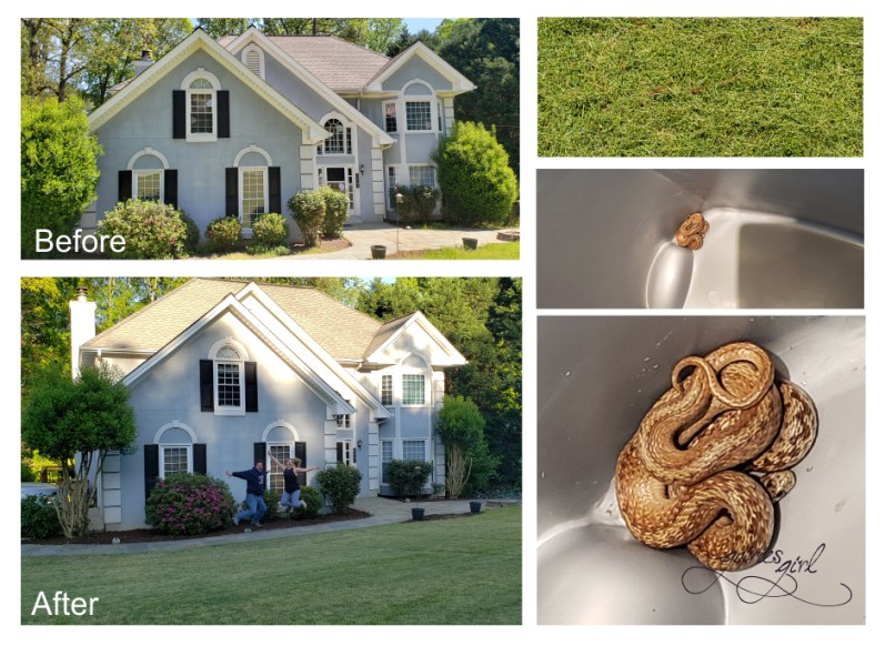 Garden - Before and After