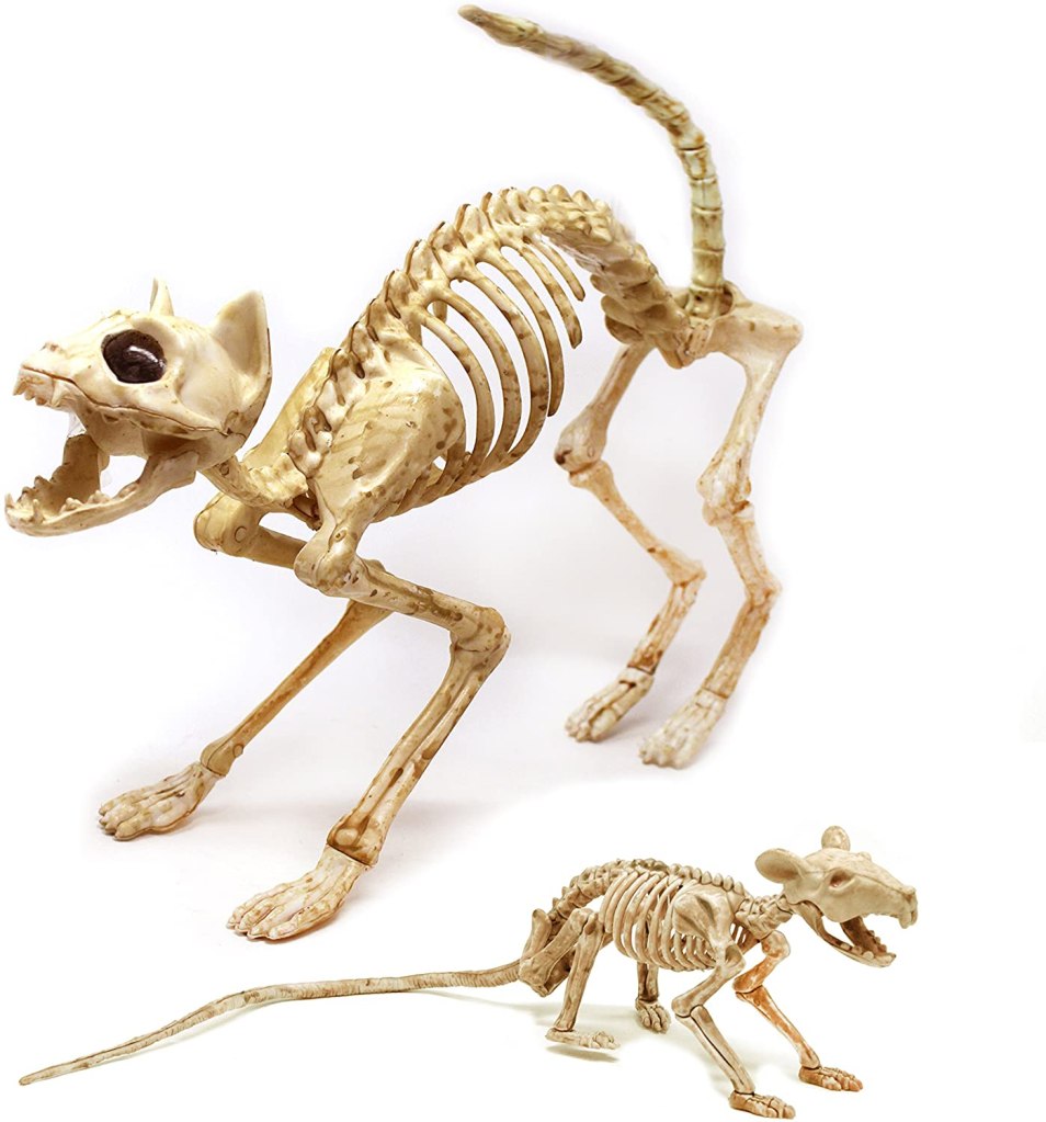 Cat and Rat Skeleton - GariesGirl