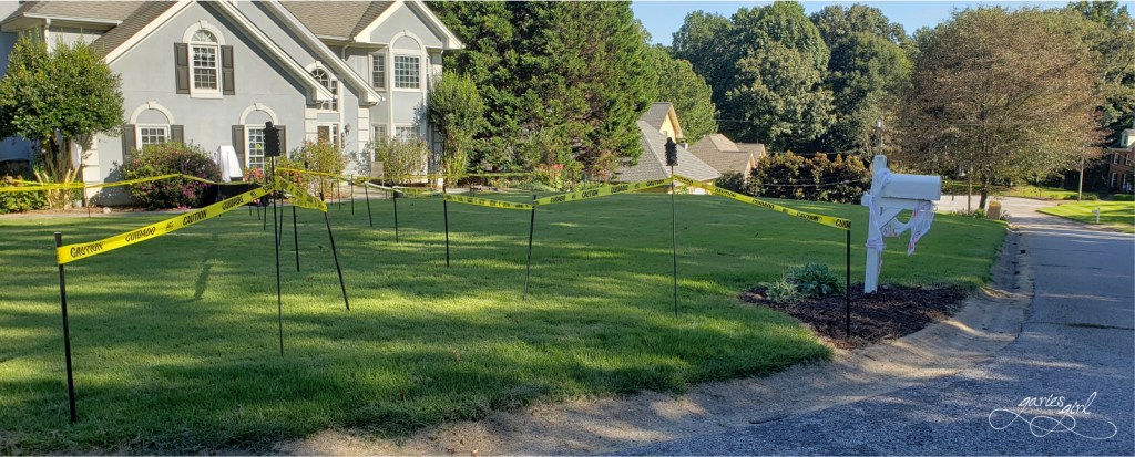 Halloween - Garies Girl