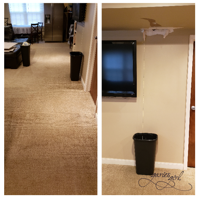 Basement Carpet and Wall - Garies Girl