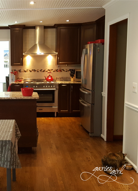 Kitchen and Fridge - Garies Girl