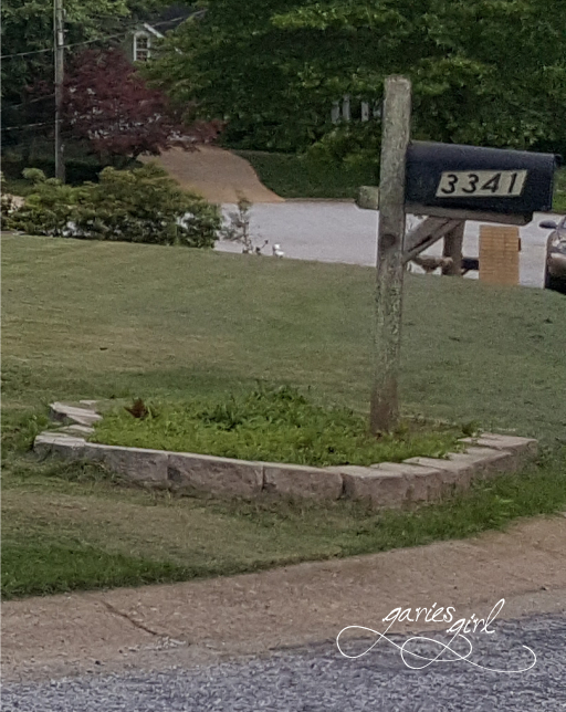 Mailbox - Before - Garies Girl