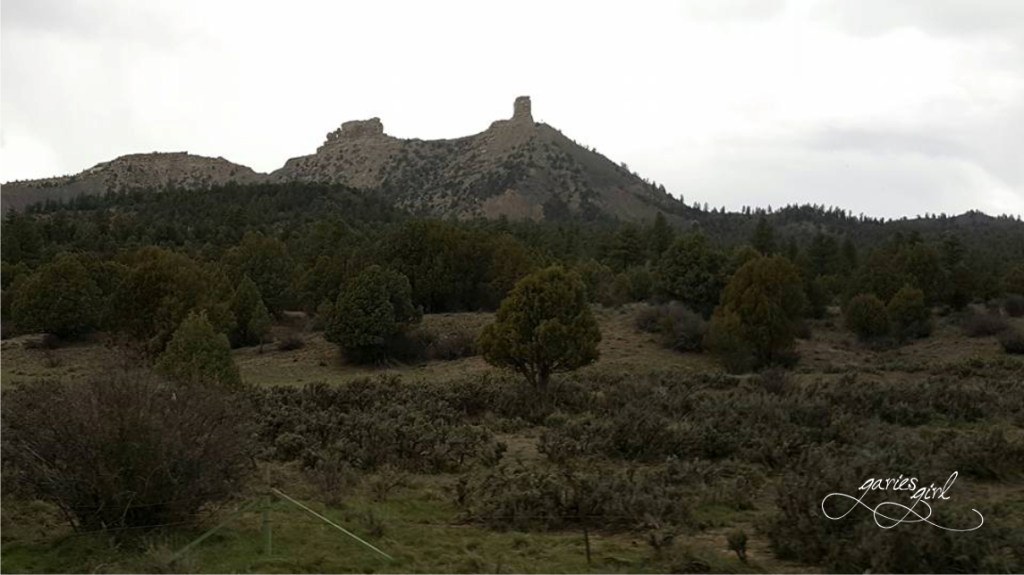 RV Trip - Garies Girl