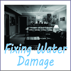 Fixing Water Damage - Garies Girl