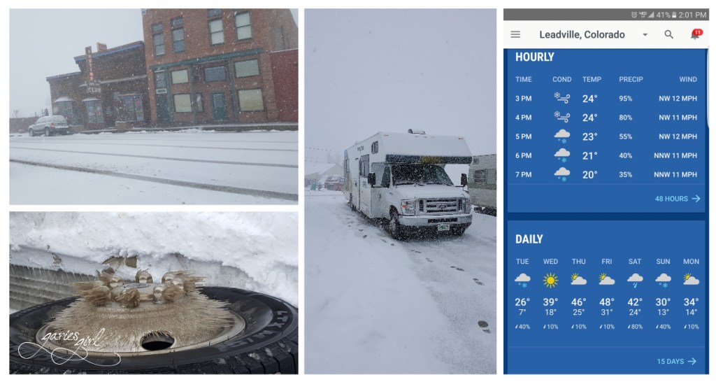 Day 6 Leadville - Garies Girl