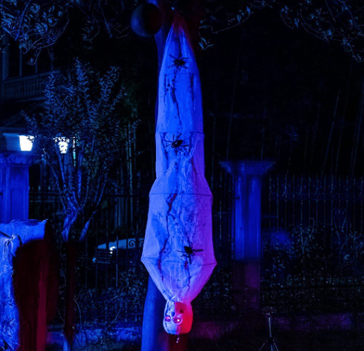 Halloween Cocoon Corpse - Garies Girl