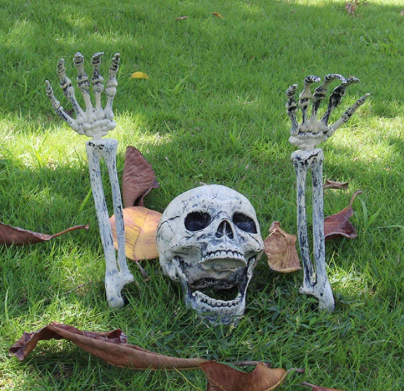 Halloween Skeleton Lawn Stakes - Garies Girl