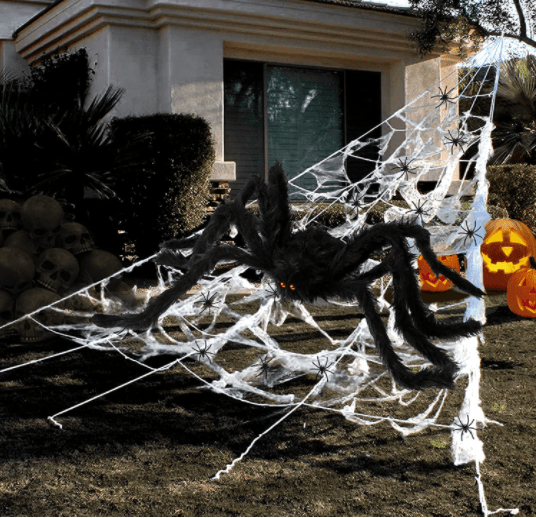 Halloween Spider Web - Garies Girl