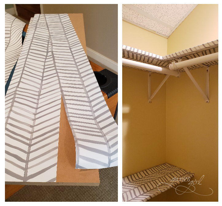 Wallpaper Shelves - Garies Girl