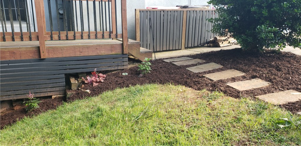 Fence Project - Garies Girl