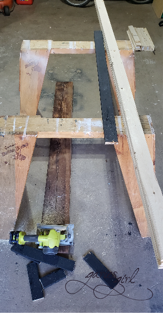 Fence Project - Garies Girl