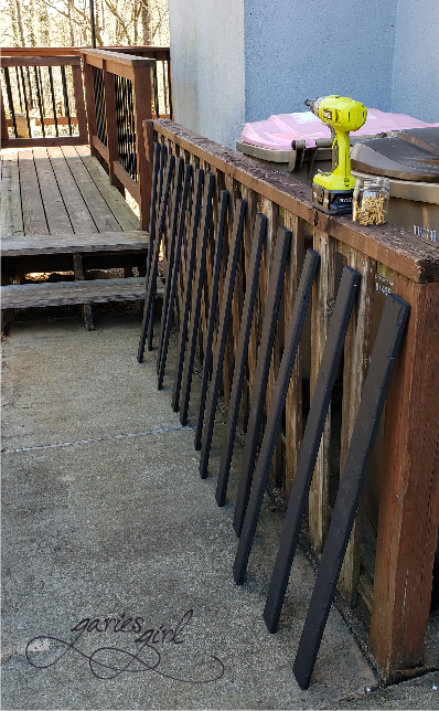 Fence Project - Garies Girl