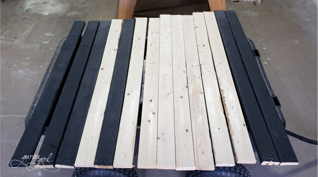 Fence Project - Garies Girl