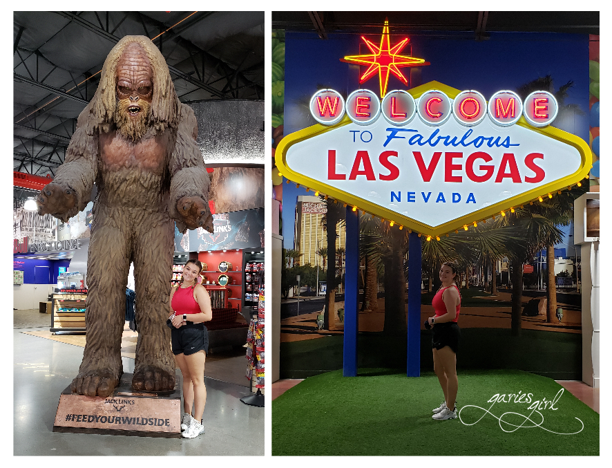 NV to CA Road Trip - Garies Girl