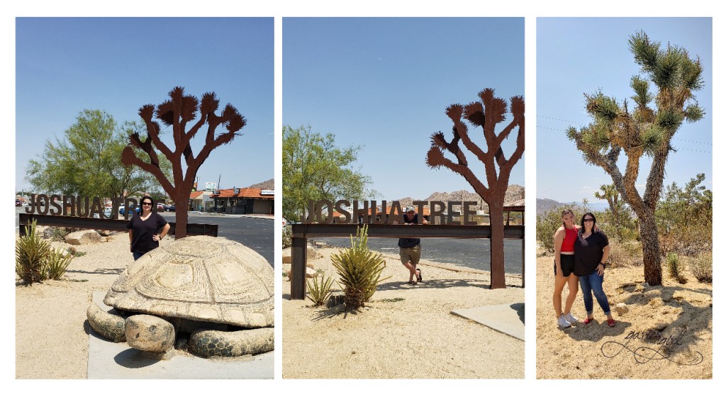 NV to CA Road Trip - Garies Girl