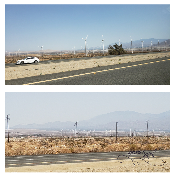 NV to CA Road Trip - Garies Girl