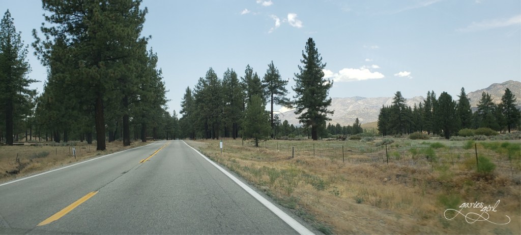 NV to CA Road Trip - Garies Girl