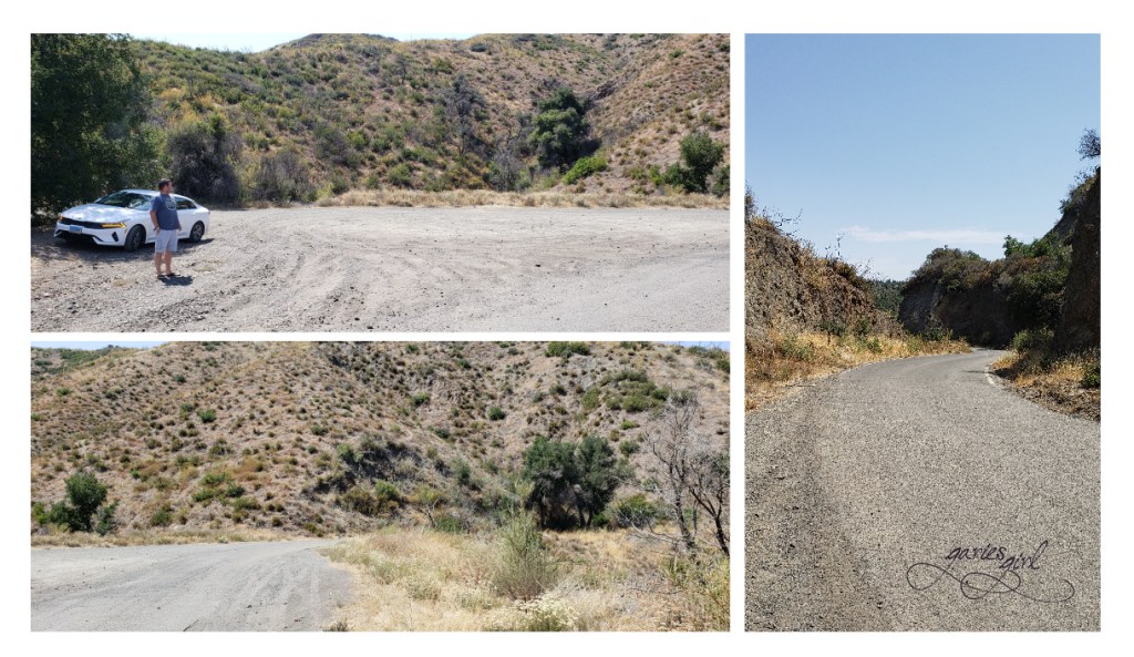 NV to CA Road Trip - Garies Girl