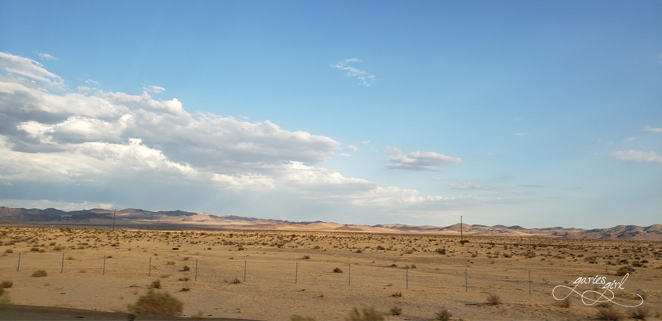 LV Roadtrip - Garies Girl