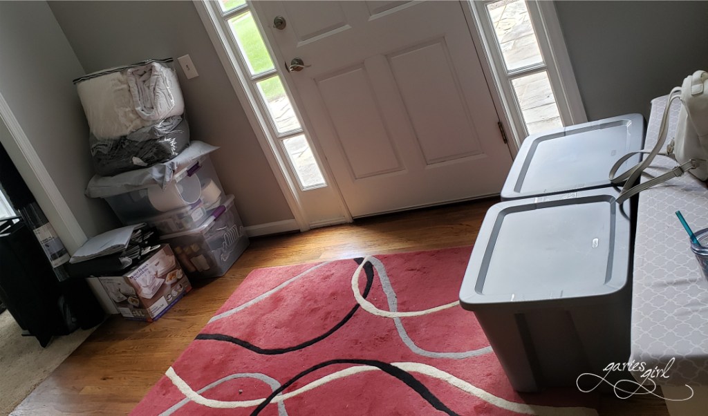 Statesboro 2022 - Garies Girl