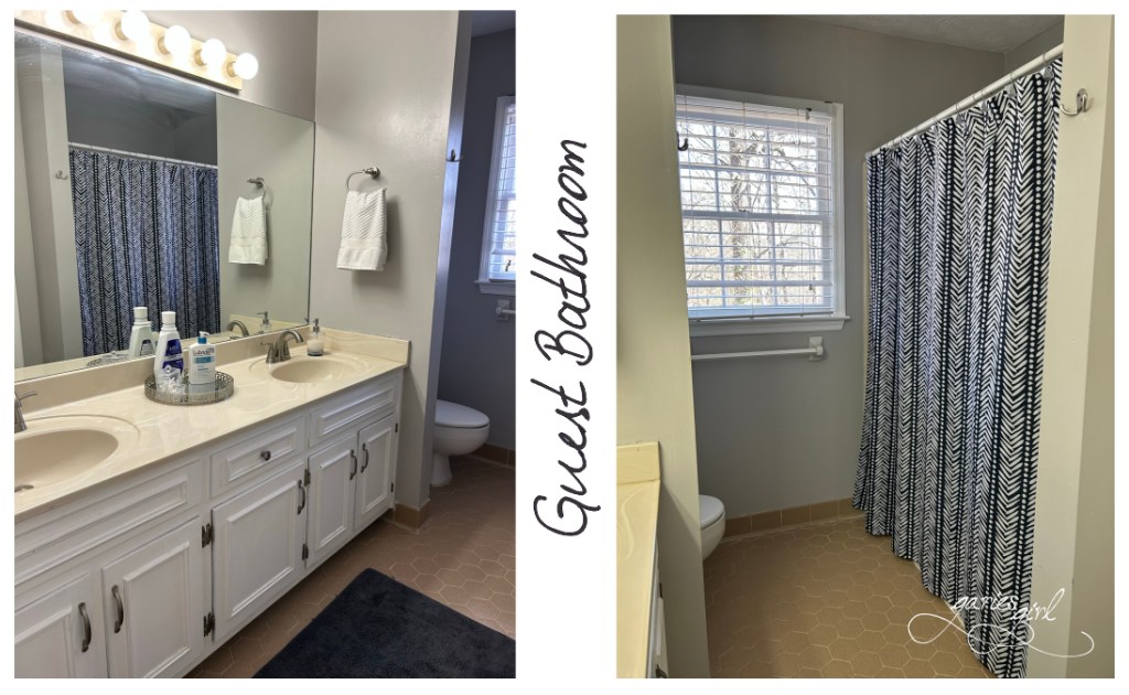 The Big Clean - Garies Girl