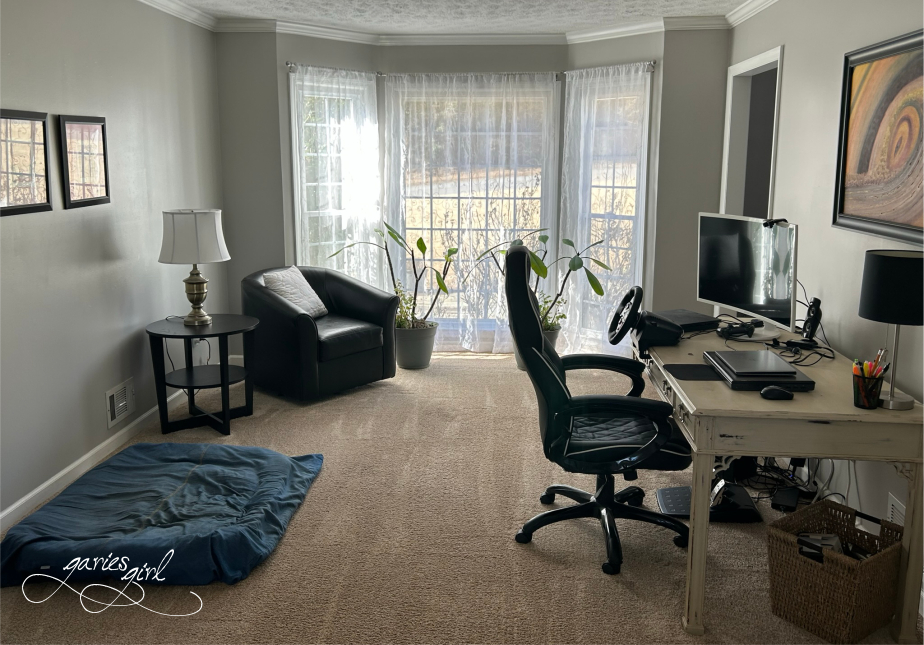 The Big Clean - Garies Girl