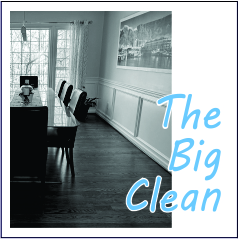 The Big Clean - Garies Girl