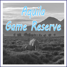 Aquila - Garies Girl