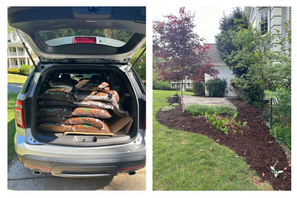 Preparing to Travel - Garies Girl