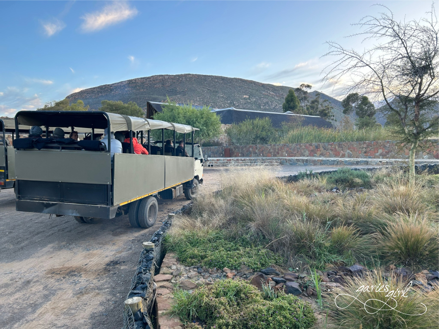 Aquila Game Reserve - Garies Girl