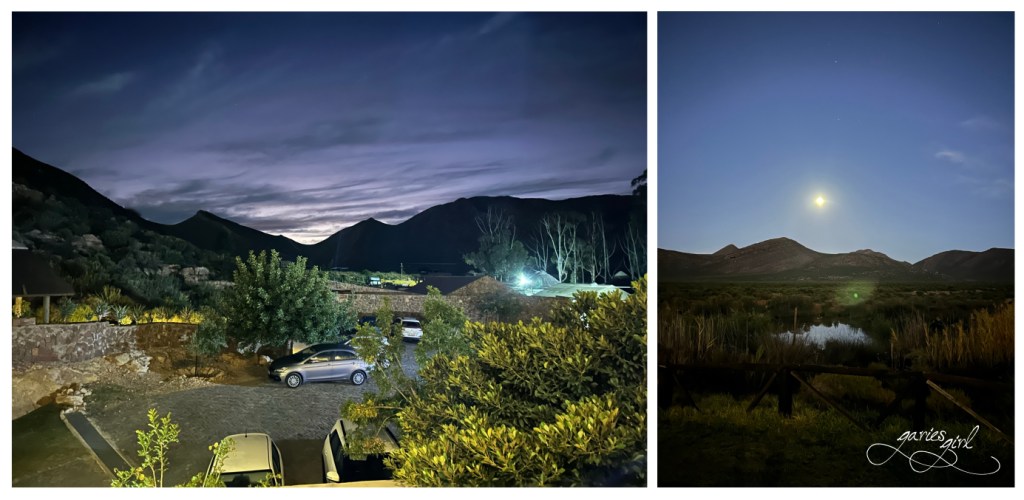 Aquila Game Reserve - Garies Girl