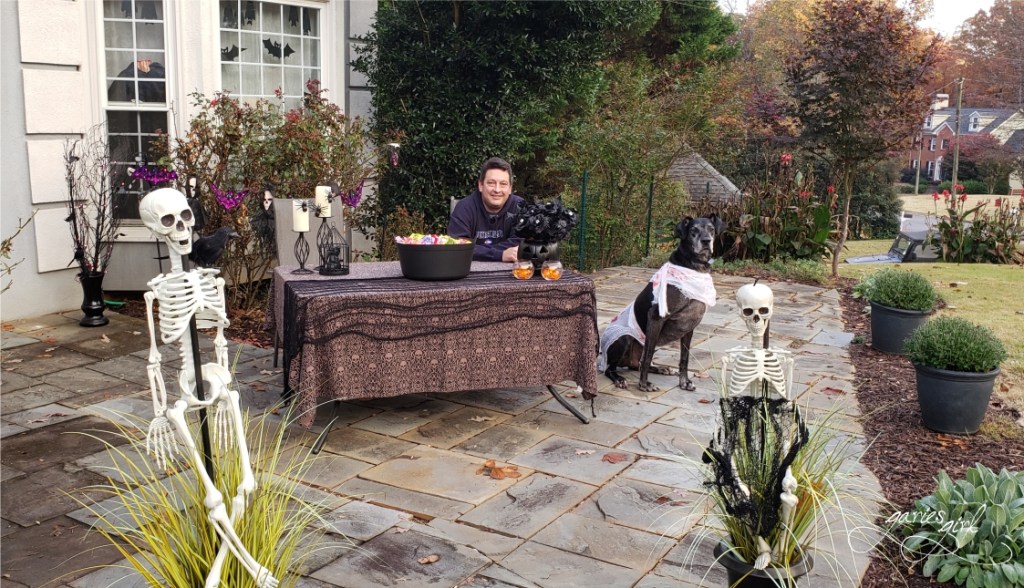 Halloween 2023 - Garies Girl