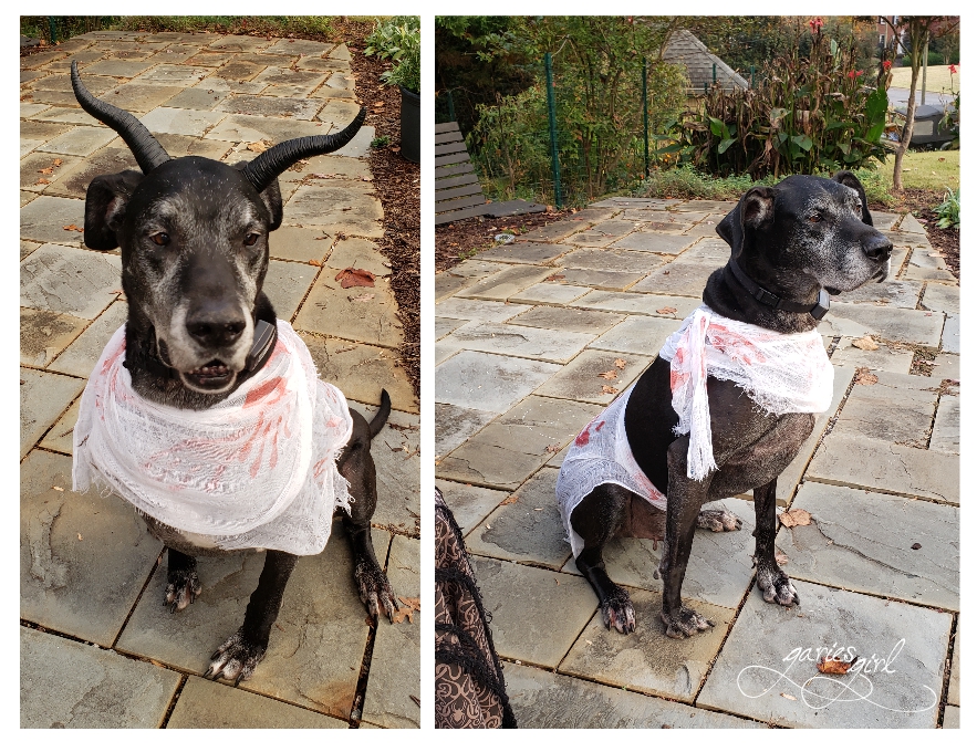 Halloween 2023 - Garies Girl