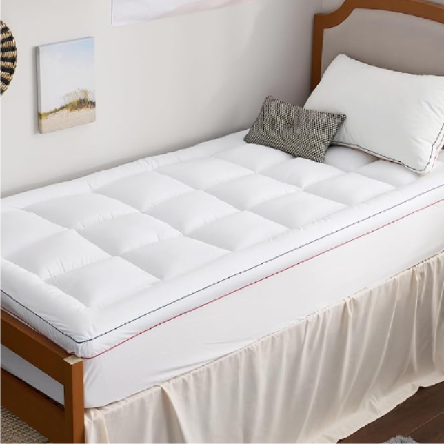 Garies Girl Dorm Must Haves