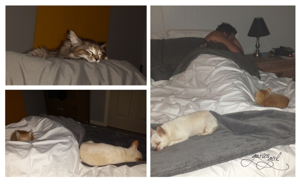 Building a Bed - Garies Girl